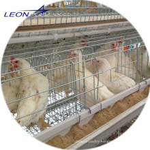 Leon series A-frame broiler and layer cage for chicken house